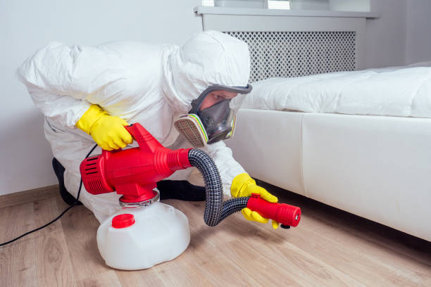 Emergency Pest Control in Attleboro, MA